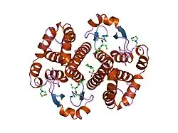 5gss: HUMAN GLUTATHIONE S-TRANSFERASE P1-1, COMPLEX WITH GLUTATHIONE