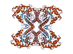 6ald: RABBIT MUSCLE ALDOLASE A/FRUCTOSE-1,6-BISPHOSPHATE COMPLEX