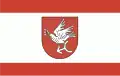 Flag of Golubsko-dobrzyński County
