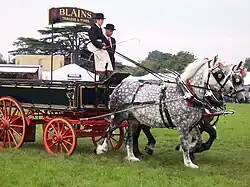 Wagon - Four wheels, agricultural or delivery