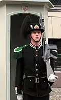 Palace guard at the royal palace, Oslo. Note the G3-type rifle with a bayonet over the barrel.