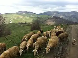 countryside near Brest