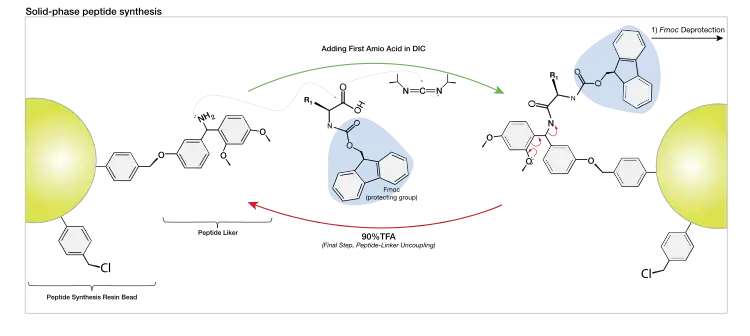 Table of amino acids