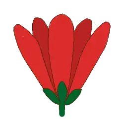 Diagram of apopetalous corolla