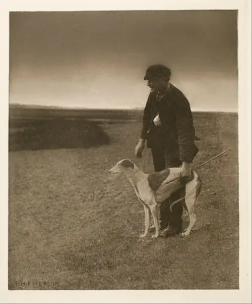 the hunters, ph emerson, a hare in view, photography