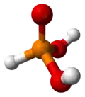 Ball and stick model of phosphorous acid