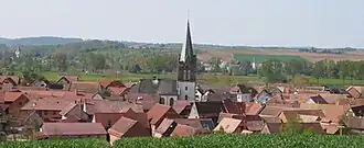 A general view of Ingenheim