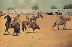 Heeling (pialar) while team roping a bull.