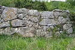 Polygonal masonry wall at Rusellae