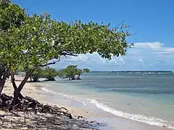 Sand-nourished La Guancha Beach