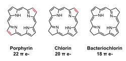 Line diagram of porphyrin, chlorin and bacteriochlorin