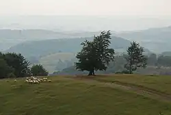 Place Kneževo Polje, Small Povlen