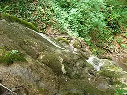 River Cetina, Middle Povlen