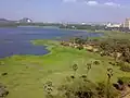View of Powai lake