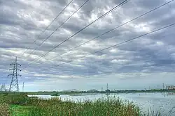Pallikaranai wet land.