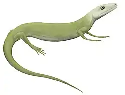 Life restoration of Protorothyris archeri