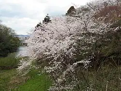 Takaoka Castle ruins