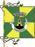 Flag of Mangualde