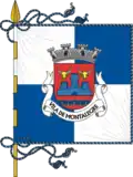 Flag of Town of Montalegre
