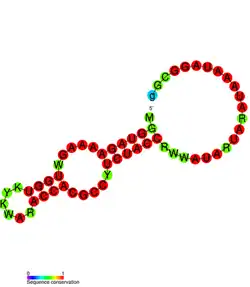 3'-terminal pseudoknot in PYVV: Predicted secondary structure taken from the Rfam database. Family RF01078.