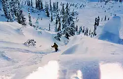 A skier in the Sawtooth Mountains
