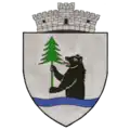 Coat of arms of Brăduț