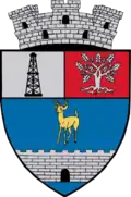 Coat of arms of Țicleni