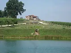 Raffaldini Vineyards in Swan Creek