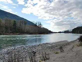 Sandy bank of a wide river with a strand of trees and a hillside on the other side