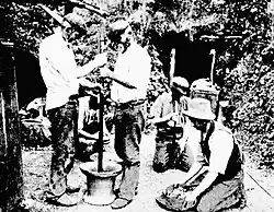 Dollying gold-bearing quartz, using a cast-iron dolly pot, Reno, New South Wales, 1911.[5]