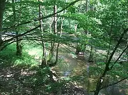 The Rezovo River banks