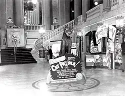 A lobby display with a fake panther a sign reading Cat People