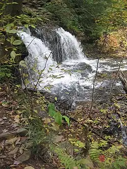 A side-view of falls upstream and a slide below and downstream; a large rock divides the falls. It is autumn, with leaves in various stages of color on the trees; some are green and others are orange or yellow. Fallen leaves cover many of the rocks along the stream.