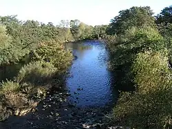 River Swale from Catterick Bridge