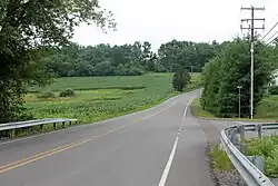 Schoolhouse Road and summer scenery in Mahoning Township