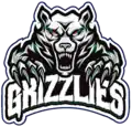 Rock Springs Grizzlies