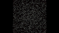 Simulation of stellar motions in Messier 4