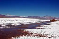 Maricunga Salt Flat with Copiapó Volcano in the distance
