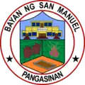 Official seal of San Manuel