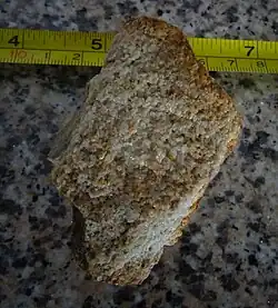 Sandstone Guadalupe Group