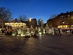 Christmas trees on the square