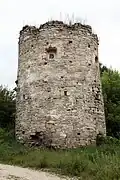 Castle tower