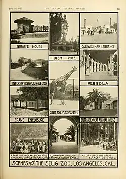 Animal collection highlights, 1915