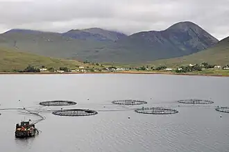 Luib seen from across Loch Ainort