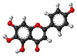 Ball-and-stick model of scutellarein