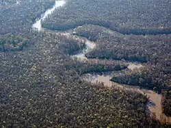 A narrow, meandering river with vegetation
