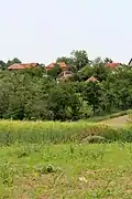 Radjevo Selo - panorama