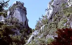 A wild river with lots of large stones in it running through a forest.