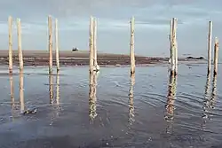 Remnants of a dilapidated dock, Sharafkhaneh port