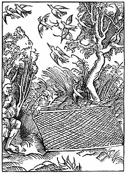 Of To Open Councellers